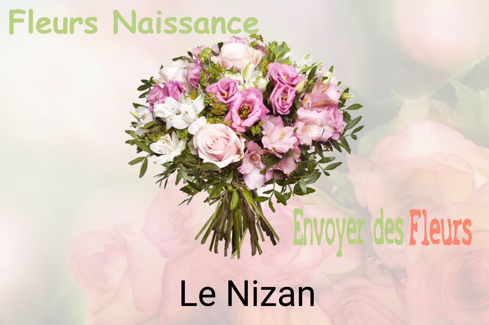 Bouquet de fleurs de naissance livré à Le Nizan